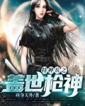 特種兵之蓋世槍神