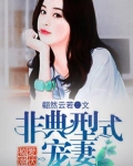 秘愛潛伏：非典型式寵妻