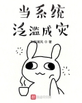 當系統泛濫成災