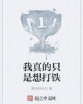 我真的隻是想打鐵