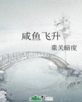 鹹魚飛升