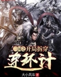三國之開局拆穿連環計