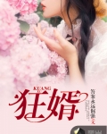 狂婿
