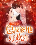 一孕雙寶：總裁爹地好歡喜