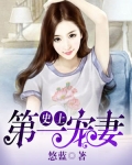 史上第一寵妻