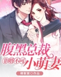 非婚不可：腹黑總裁小萌妻