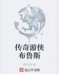 傳奇遊俠布魯斯