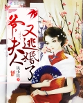 爺，夫人又逃婚了