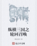 縱橫三國之輪回召喚