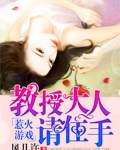 惹火遊戲：教授大人請住手