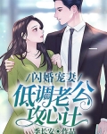 閃婚寵妻之低調老公攻心計