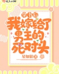 穿書後我嫁給了男主的死對頭
