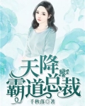 天降霸道總裁