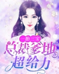 一胎三寶：總裁爹地超給力