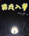 遊戲入夢