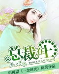 總裁在上（電視劇名：《一念時光》）