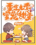 重生九零蜜寵甜妻