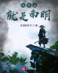 天哪這就是南明