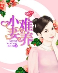 小妻難養