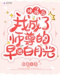 掉馬後我成了師尊的早逝白月光