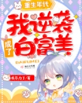 重生年代：我逆襲成了白富美
