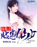 校花之貼身仙少